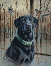 Tin Signs Ducks Unlimited Great Retrievers Nostalgic Embossed Nature Dog Ad