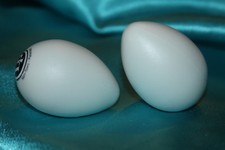 LP Glow In The Dark Shaker Eggs Sold in Pairs, LP001-GLO