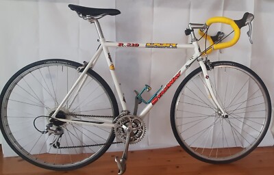 Diamondback Racing Starway Rennrad Stahlrahmen  90-er Jahre  Vintage 