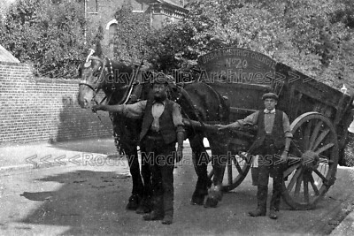 rxx-42 Social History, Penge Urban District Council No.20 Horse & Cart. Photo