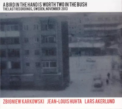 Ein Vogel in der Hand ist zwei im Busch wert (Die letzten Aufnahmen, Schweden, November
