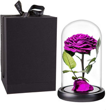 Purple Roses Handmade Rose in Glass Dome, Preserved Flowers Never Withered Roman