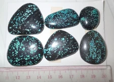 Turquoise Stone Flat Free Form Cabochon 196 Carat 6 pieces 39.2 gram Lot C