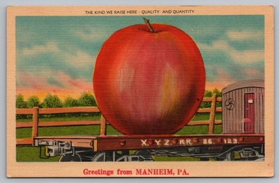 Greetings Manheim PA Exaggerated Apple on Train Freak Vegetables Postcard