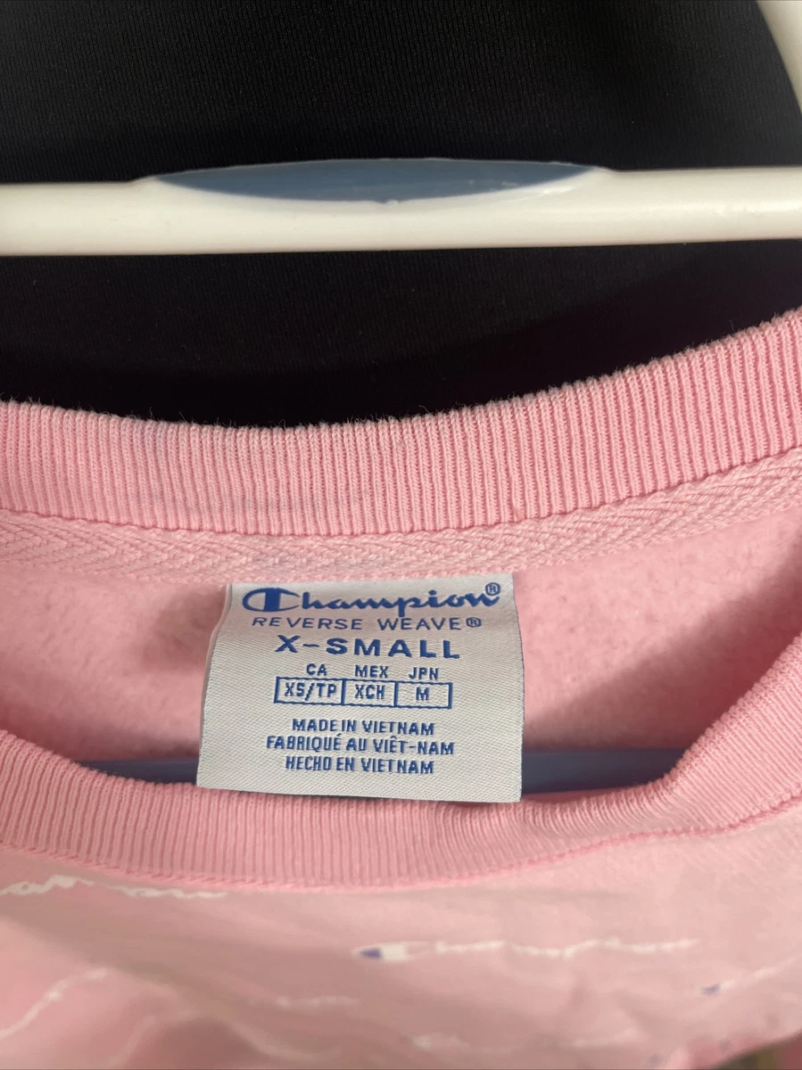 Sweatshirt dress hotsell champion
