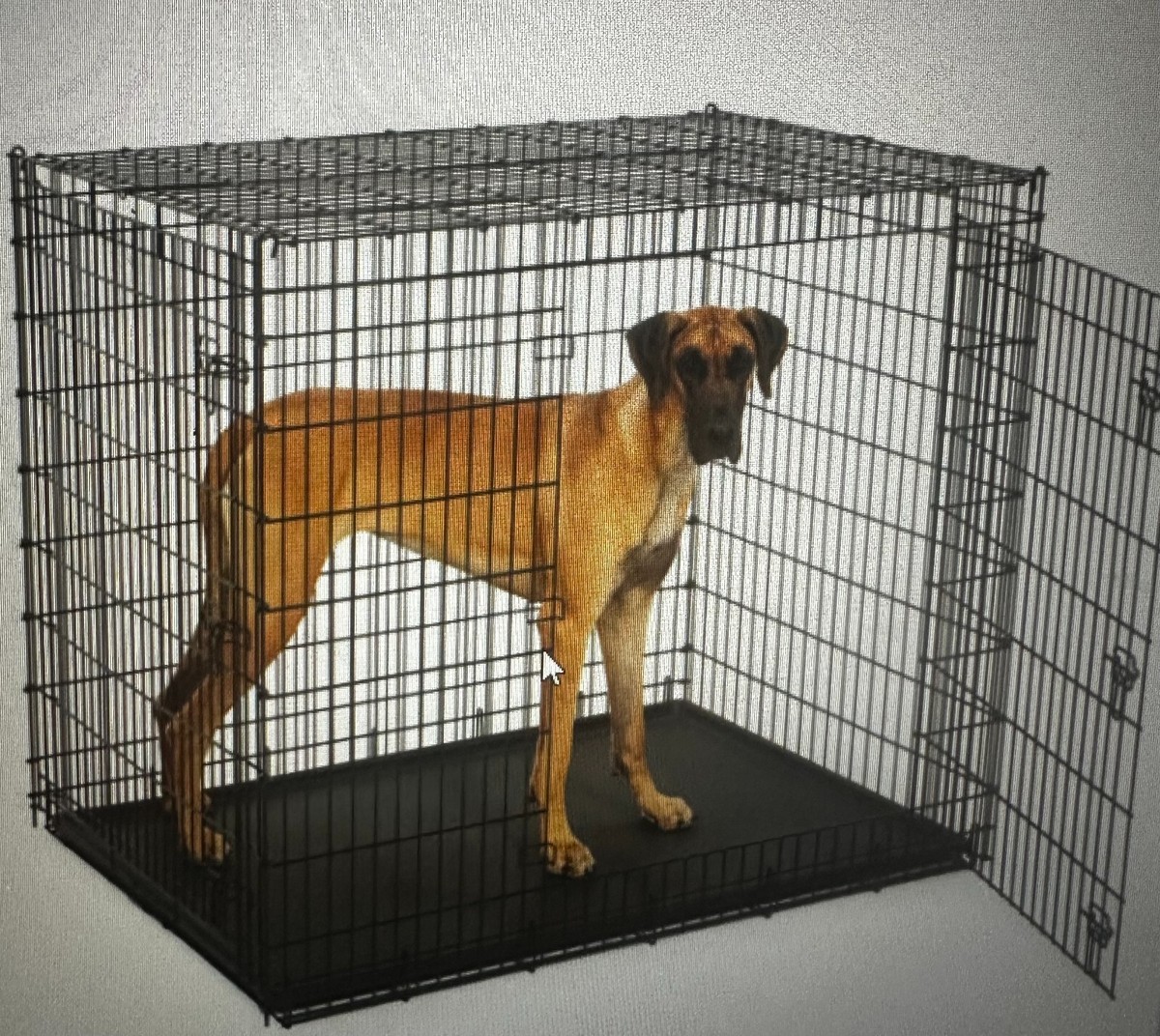 Midwest SL54DD Ginormus Double Door Dog Crate Pan 27773008859|