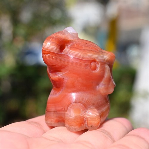 2'' Red agate Elephant hand Carved Natural Reiki Crystal sculpture Decor 1pc - Picture 2 of 14