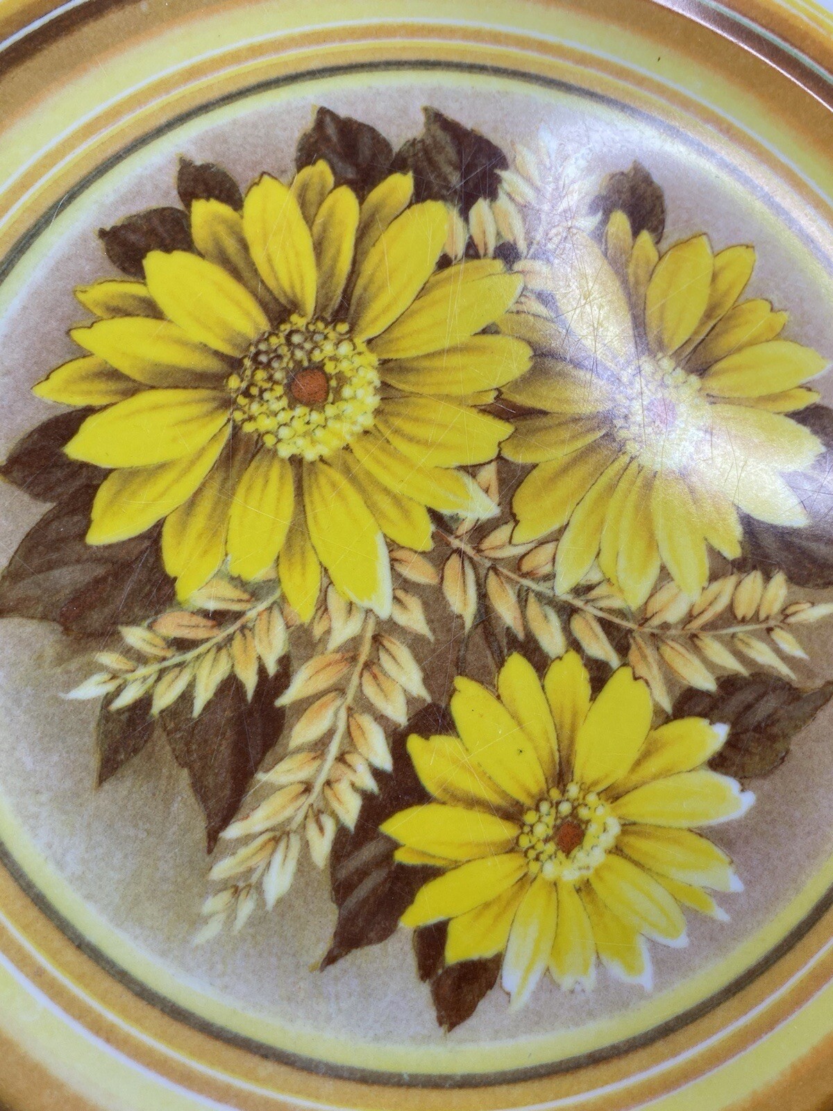 Plates Set Of 4 VTGCamping RV Picnic 10" National Home Products NHP Artisan Ware