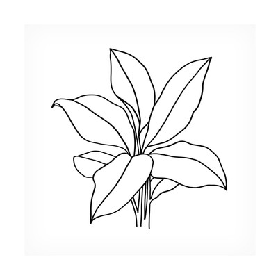 'Foliage Contour II' Canvas Art by Annie Warren 14x14