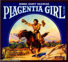 Placentia Girl Orange County Orange Citrus Fruit Crate Label Vintage Art Print
