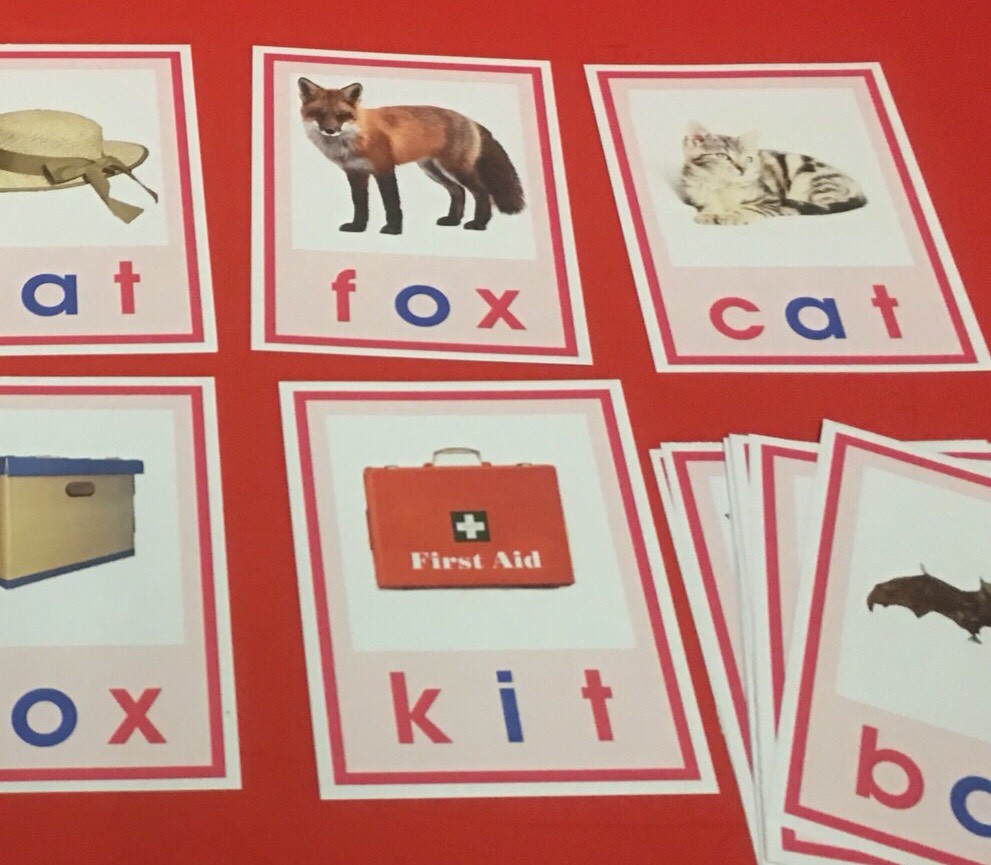 Pink Series Montessori - CVC WORDS & PICTURE CARDS- 40 Laminated Cards ...