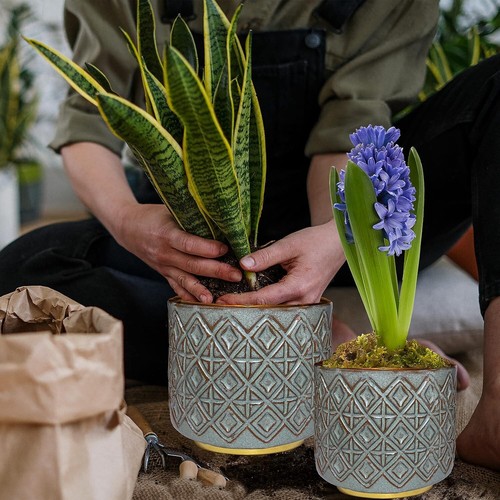 Set of 2 - Green Gold Flower Plant pots 5.1" & 3.9" House Pots w Drainage Holes - Picture 2 of 7