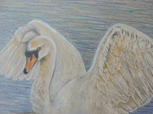 "The Swan", Original 9x12 Colored Pencil Artwork, Unframed - 第 2/6 張圖片