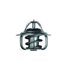 Thermostat Ford PUMA