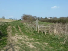 Photo A3 Spring Hill Nep Town  c2011