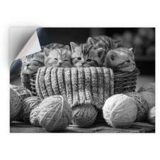 1 x Vinyl Sticker A5 - BW - Adorable Cute Kittens Cat Cats  #41532