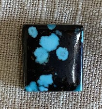 Turquoise Square Polished Cabochon Backed 14mm 15.5mm Turquoise  Black TBL 