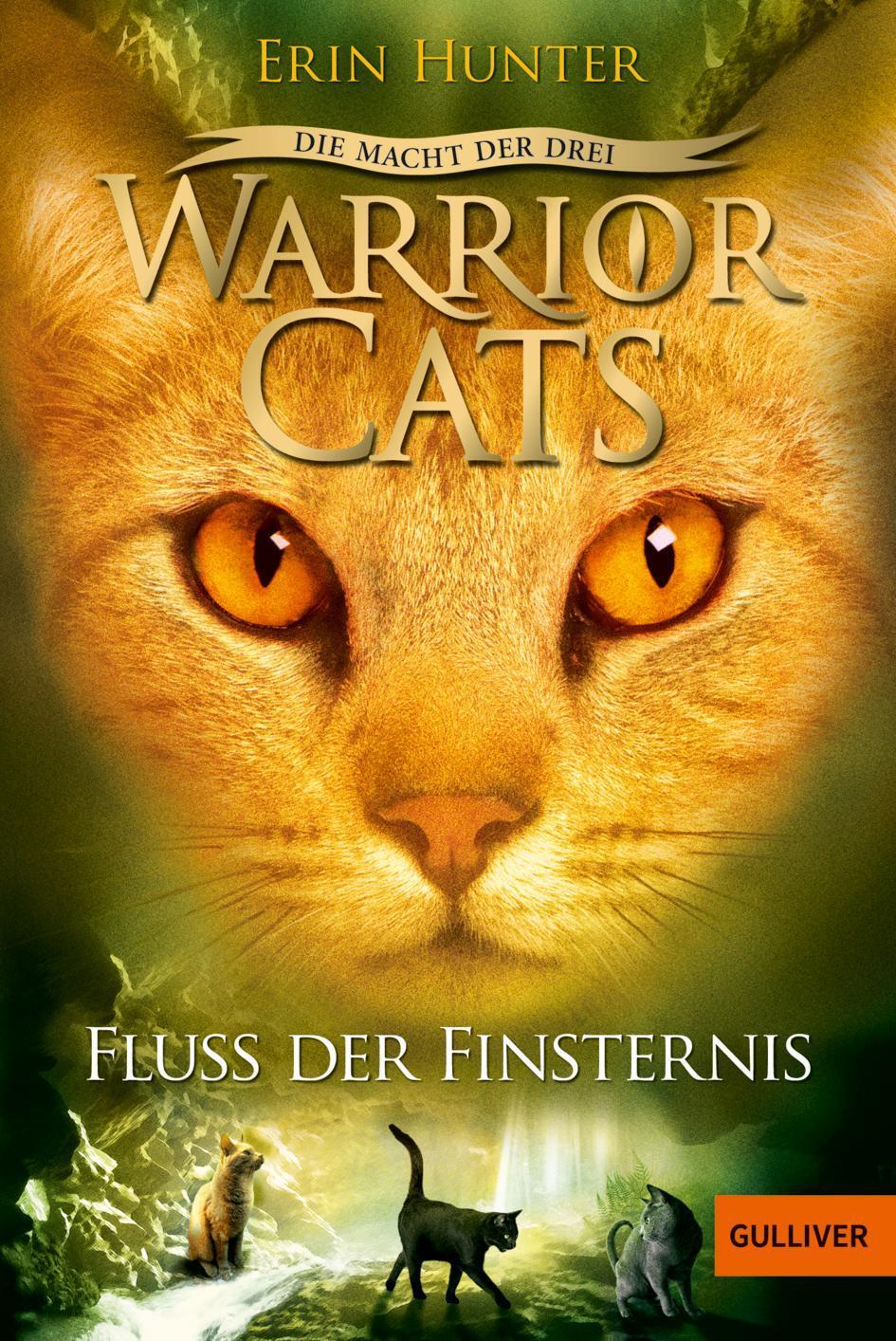 Thumbnail - Erin Hunter / Warrior Cats Staffel 3/02. Die Macht Der Drei. ...