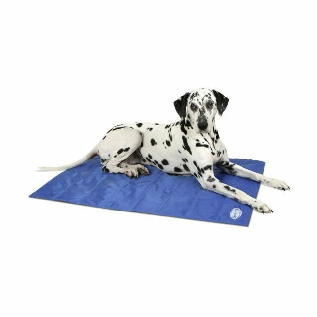 Scratch-Proof Dog Mats