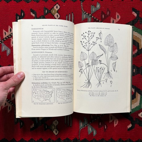 Aquatic Plants of the United States HC 1967 - Picture 6 of 11