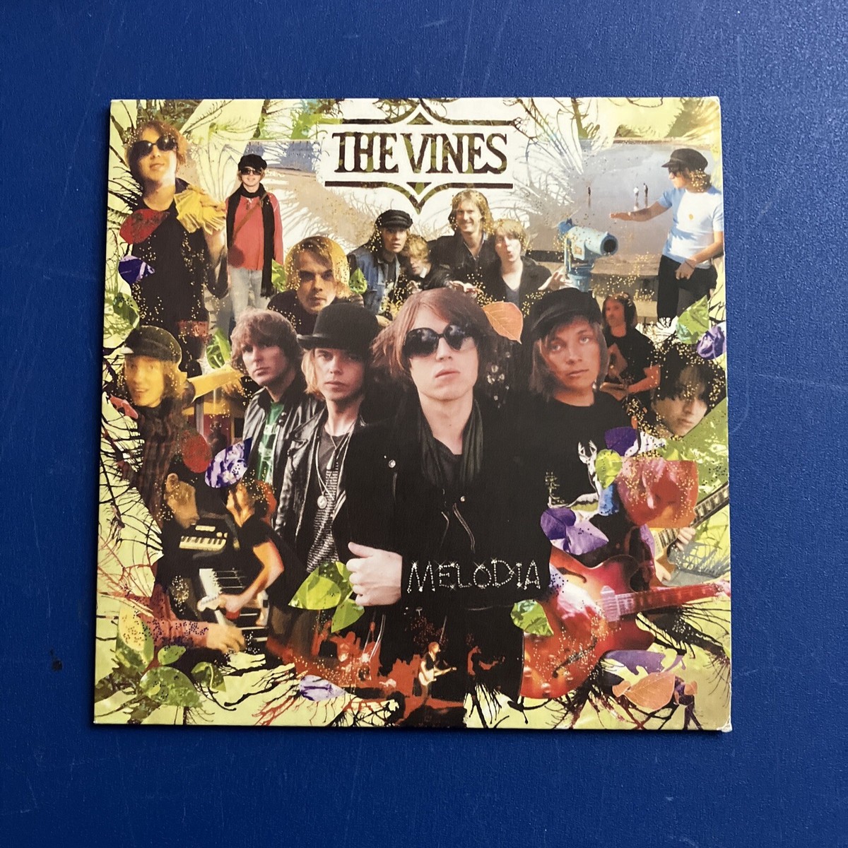 The vines melodia レコード レコードストアデイ The vines melodia レコード レコードストアデイ The Vines: Melodia