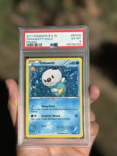 Oshawott graded PSA 6 for sale on eBay