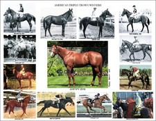 Celebrate American Pharoah's Triple Crown Win with Victor Espinoza Autographs and Memorabilia 14