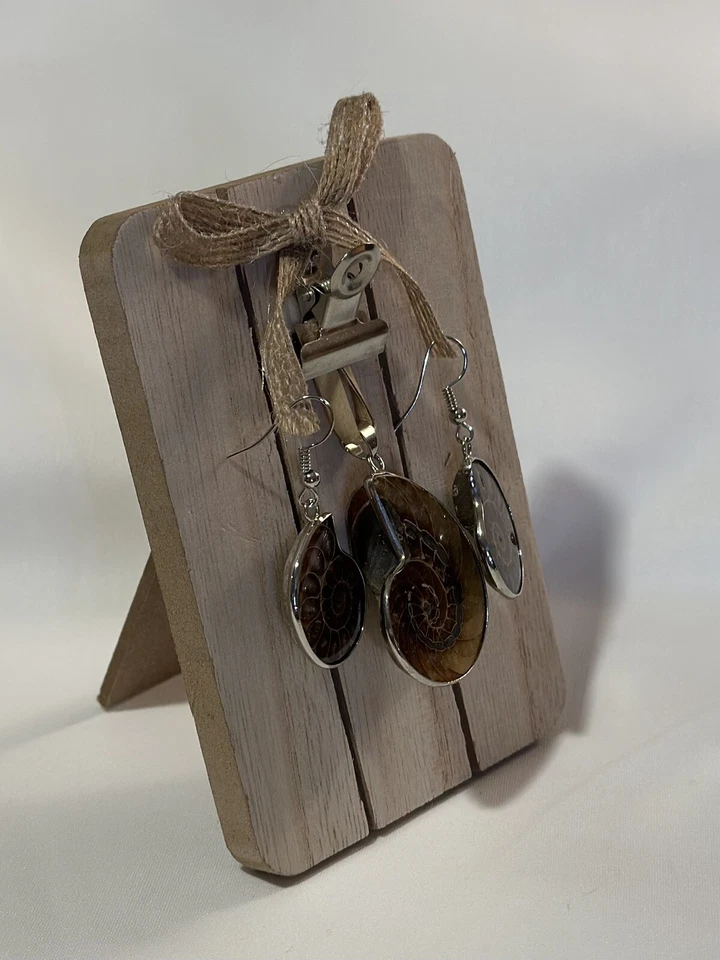 Набор посеребренных аммонитов - Изображение 3 из 4