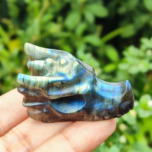 1PC 2" Natural Hand Carved Dragon Skull Quartz Crystal Skull Gem Reiki Healing - 第 11/28 張圖片