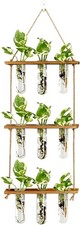 Wall Hanging Propagation Station with Wooden Stand Glass Test Tubes Tiered