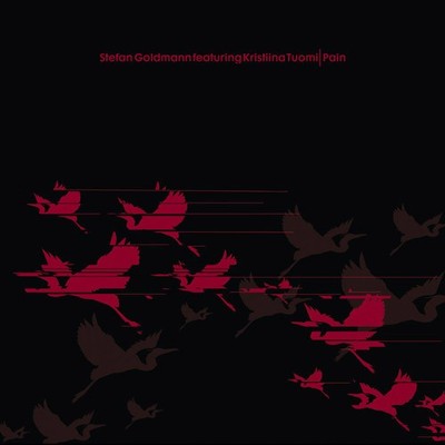Stefan Goldmann - Pain, 12'', (Vinyl)