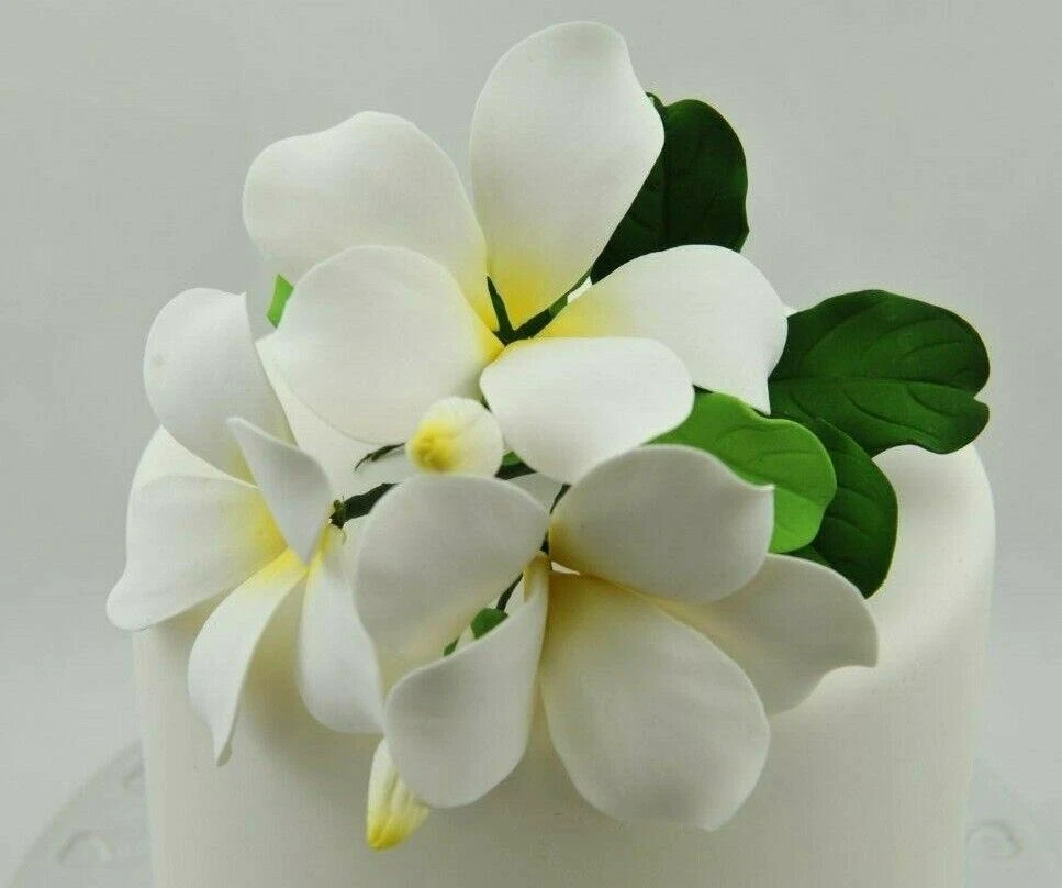 Frangipani cake deals