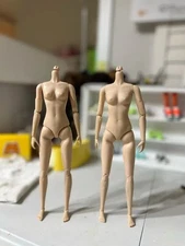 Joint body (per piece)