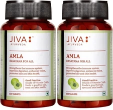 Jiva Amla Tablets 500mg 240 Tablets | 100% Herbs Used, Rich In Vitamin C | Rich