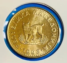 1993 Macedonia 5 Denari Coin – European Lynx – Brass Cat Bobcat Feline Animal