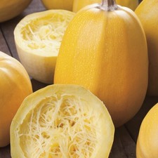 Yellow Spaghetti Squash Seeds  Vegetable Fall Winter Garden Pumpkin Seed 2025