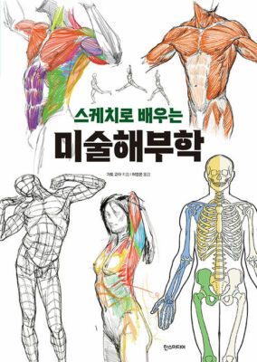 Anatomy for Art Drawing-Learning Through Sketching-Korean Edition 미술해부학-스케치로 배우는