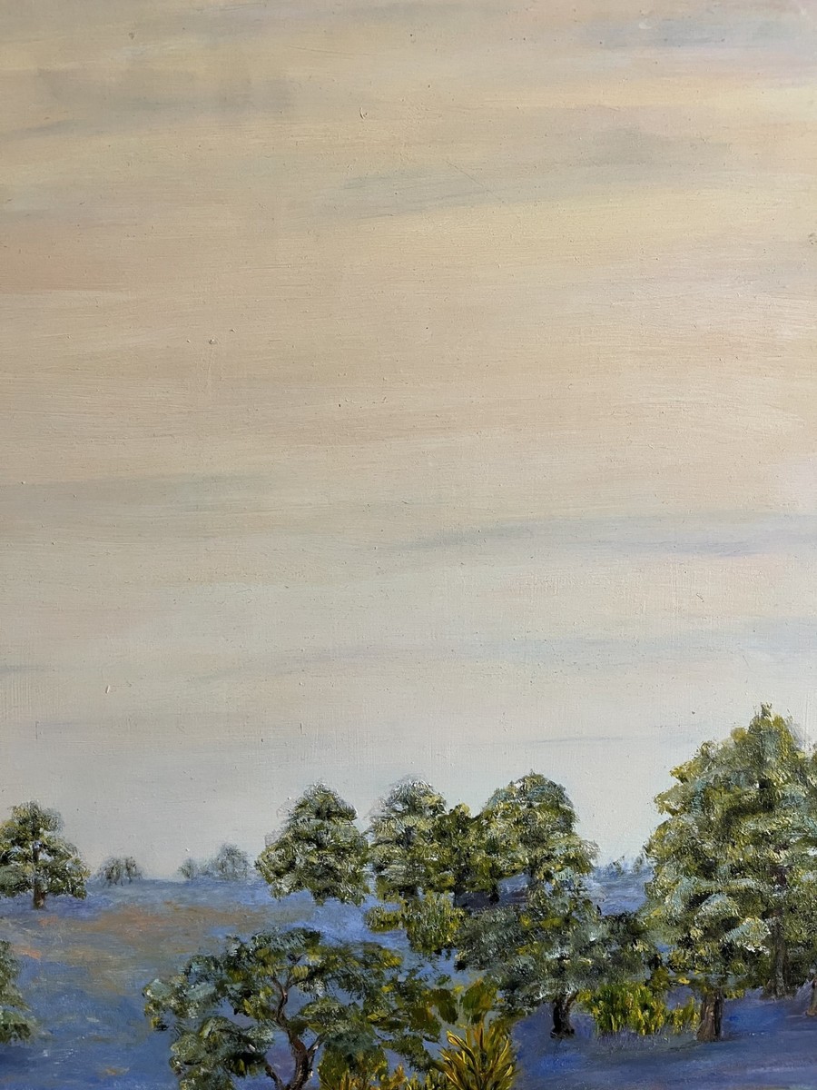 Vintage Original Artist Signed Landscape Oil Painting of Texas