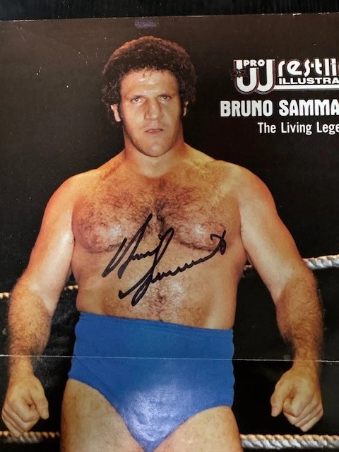 Póster autógrafo Bruno Sammartino 10,5" x 16" Foto 2 de 4
