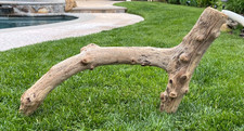 Large Natural Driftwood for Fish Reptile Aquariums, Crafts, Decor 42x24x10
