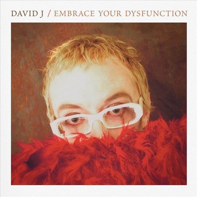 DAVID J EMBRACE YOUR DYSFUNCTION NEW CD