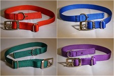 Dog Collar - 3/4" Nylon - Adjustable - 1 Collar F1-C