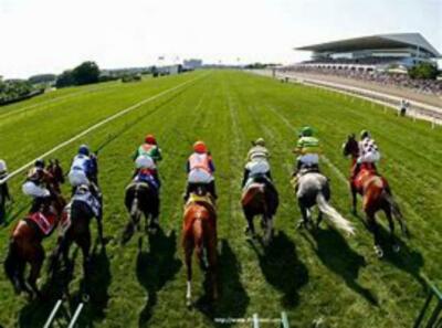 The Heavy Hitter Professional Pferderennen Auswahlmethode