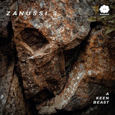 Zanussi 3 A Keen Beast (Vinyl) 12'' Album (UK IMPORT)