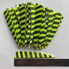 50PCS 4inch Striped Fluorescent Yellow Shield Fletches Feathers Fletching RW LW