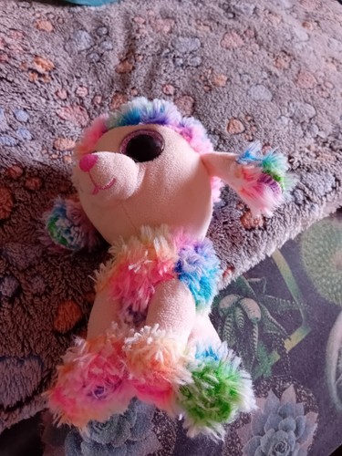 Ty Beanie Boos Rainbow 🌈 The Poodle, Small Soft Toy - 第 5/14 張圖片