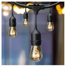 HAMPTON BAY 12💡 24ft. Indoor/Outdoor Incandescent Edison Bulb String Light