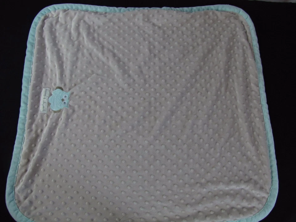 Blankets & Beyond Boutique Soft Minky Owl Blanket Baby Infant Gray Green SWEET - Image 3 of 4