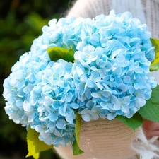 5 Pcs Faux Silk 18.5" Light-Blue Hydrangea Artificial Flowers, Fake Flowers w...