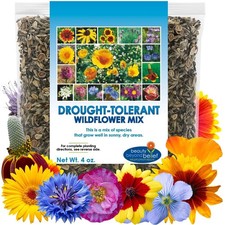 Drought Tolerant Wildflower Seeds - 4oz Packet, Open-Pollinated Bulk Brown 121.16 per gallon